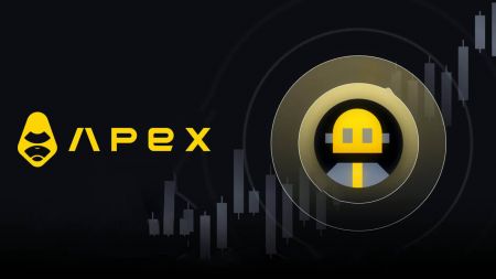 ApeX サポートへの連絡方法